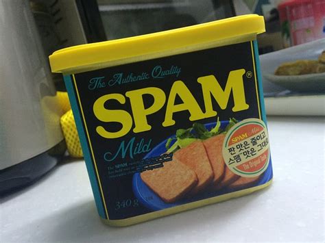 The World’s Very First Spam A Remembrance The New Stack