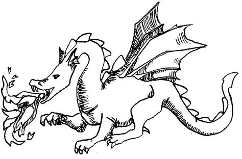 dragon coloring pages  coloring pages  print