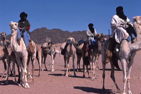 sahara nomadic lifestyles  introduction  overview