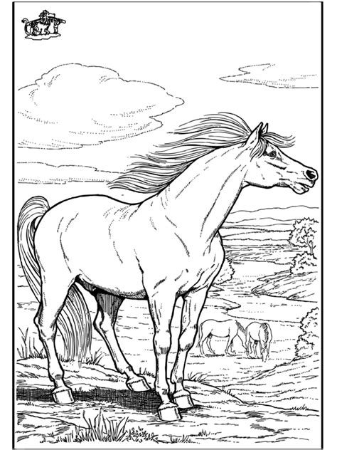 wild horse coloring pages coloring home