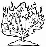 Bush Burning Coloring Template Bible Moses Pages Printable Crafts Drawing School Craft Passover Sunday Google Color Kids Sheets Search Story sketch template