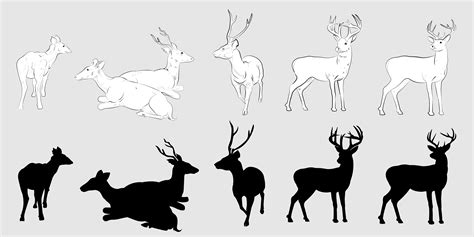 deer silhouette  vector art  vecteezy