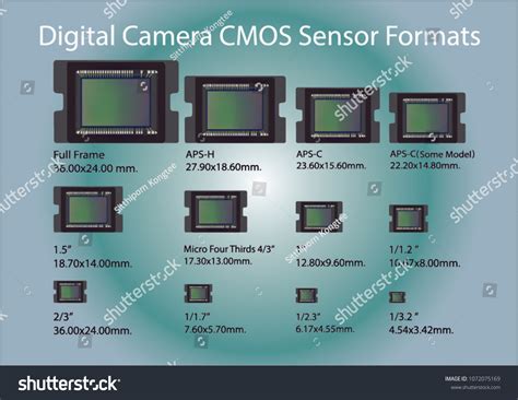 digital camera cmos sensor formats vector stock vector royalty