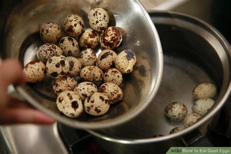 3 Ways To Eat Quail Eggs Wikihow Quail Eggs Food Quail