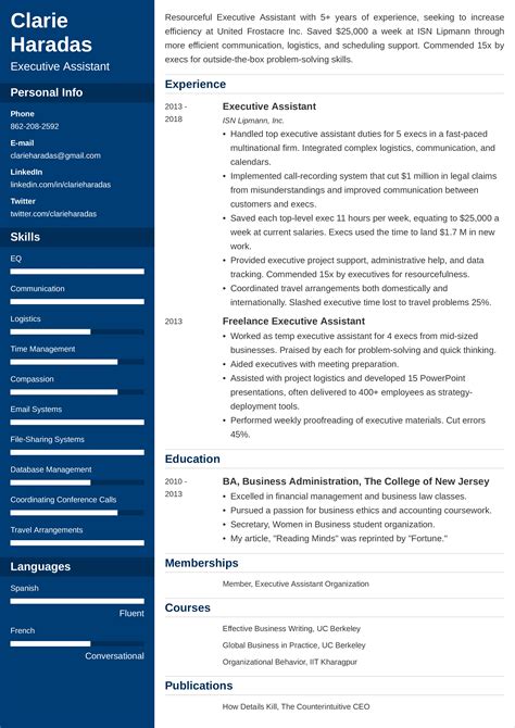 professional resume profile summary  examples