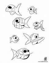 Animals Coloring Pages Ocean Sea Creatures Brilliant Birijus Published sketch template