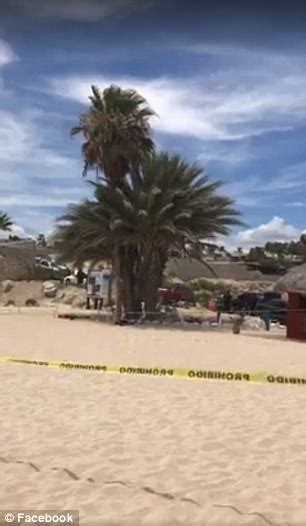 gunmen attack mexico s playa palmilla beach killing 3 daily mail online