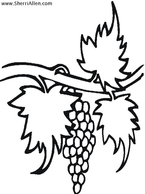 fruit coloring pages  sherriallencom