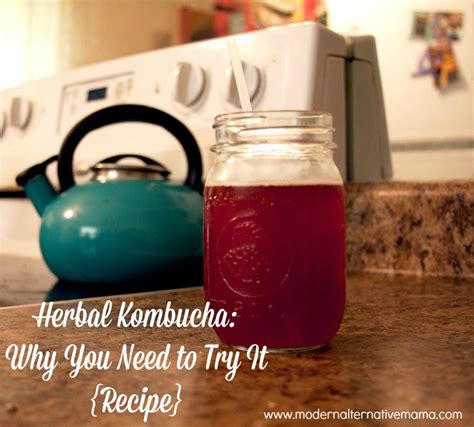 herbal kombucha why you need to try it {recipe}