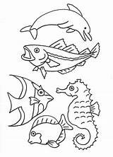 Fische Malvorlagen Fisch Ausmalen Malvorlage Kostenlos 1ausmalbilder Unterwasserwelt Schablonen Skizzen Besuchen Drachen sketch template