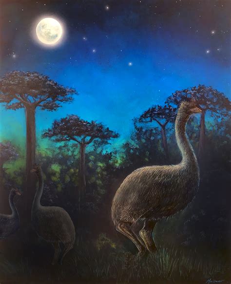 giant flightless birds  nocturnal  possibly blind jackson
