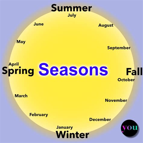 seasons   year english   summer fall winter spring
