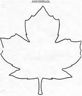 Leaf Template Maple Drawing Large Coloring Easy Leaves Fall Templates Getdrawings Autumn Leave Canadian Comments sketch template