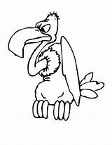 Vulture Coloring Pages Buzzard Cartoon Clipart Clip Bird Cliparts Color Birds Print Getcolorings Other Library sketch template