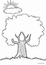 Tree Ausdrucken Baum Cool2bkids Bäume Storytime Malvorlagen sketch template