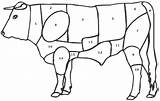 Beef Coloring Sheets Pages Printable Template sketch template