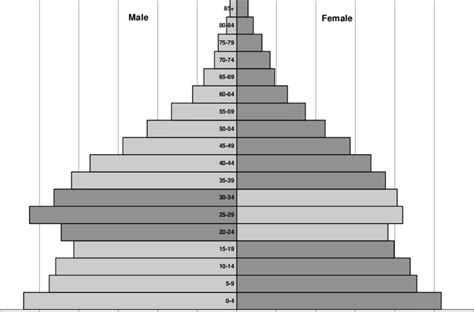 age sex pyramids for hispanic in the united states 2006