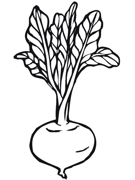 fruit  vegetable coloring pages primarygamescom