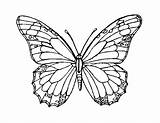 Monarch Coloring Getcolorings Delivered sketch template