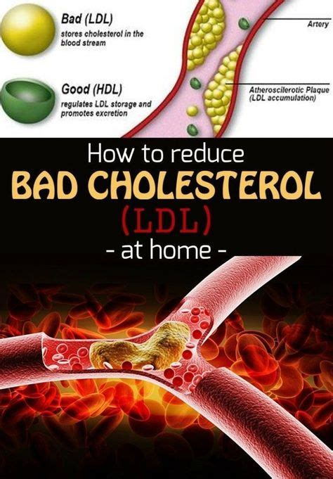 learn   reduce bad cholesterol ldl  home   high cholesterol cholesterol