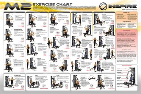 home gym moves workout plan gym gym workout chart  gym workout