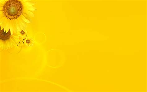 hd yellow wallpapers