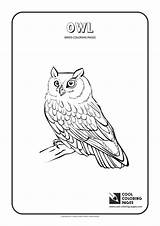 Coloring Owl Pages Cool Print sketch template