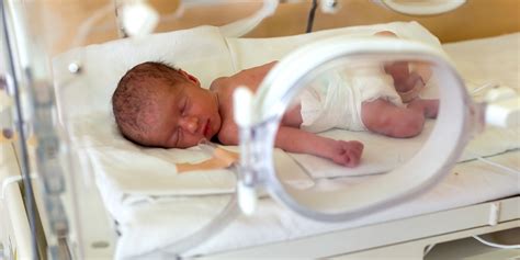 parents  premature babies   information