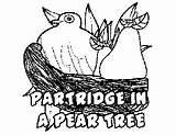 Pear Partridge sketch template