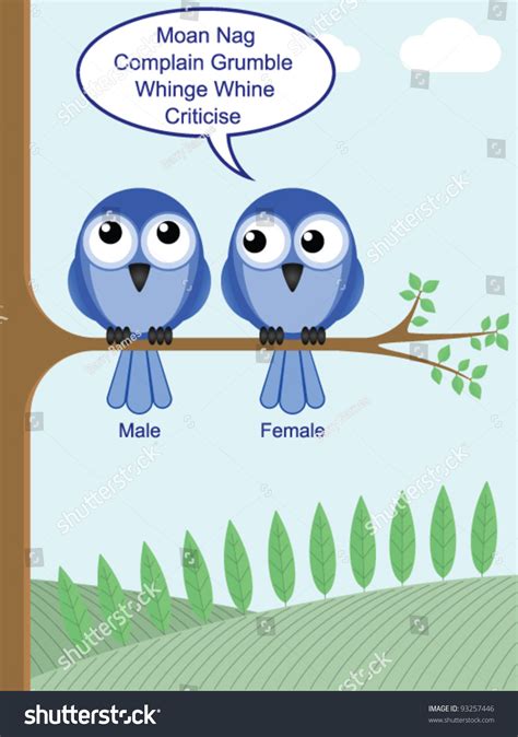 humorous look at how to determine the gender of birds