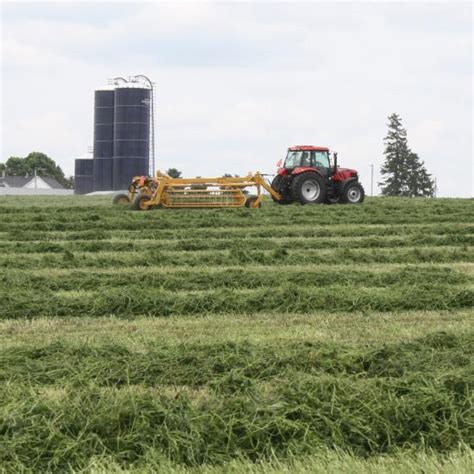tips  growing quality hay successful farming