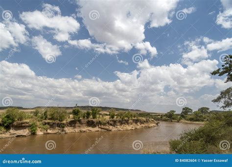 tanzania river stock photo image  cartoon cross hippo