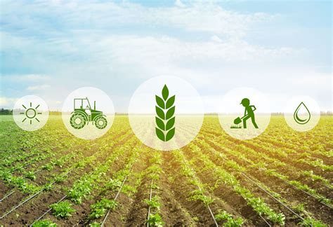 agritech  africa cultivating opportunities  ict  agriculture