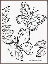 Kupu Butterfly Mewarnai Hitam Putih Bunga Diwarnai Hewan Mozaik Kolase Lukisan Hias Ragam Insetos Freewaremini Lembar Fauna Sketsa Corak Mewarna sketch template