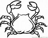 Crab Ghost Coloring Designlooter 512px 02kb sketch template