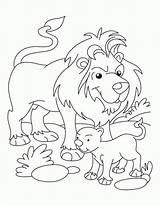Lion Cub Coloring Pages Lamb Drawing Lions Clipart Detroit Outline Printable Kids Color Getdrawings Getcolorings Library Clip March Template Popular sketch template
