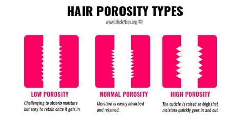 hair porosity test increasing  hair care regimen