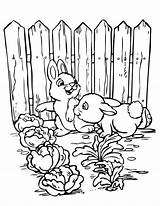 Coloring Garden Pages Gardening Vegetable Printable Sheets Kids Color Print Cute Bunnies Getcolorings Popular sketch template