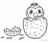 Coloring Pages Draw Hatchimals Hatchy Colleggtibles Printable Color Kids Print Adults sketch template