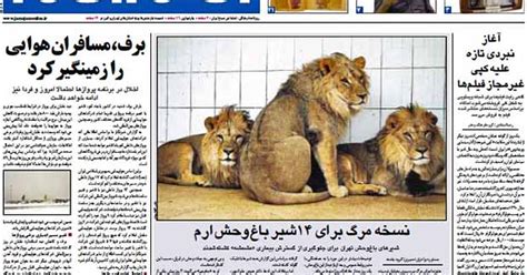 natureza zoologico sacrifica  leoes infectados por