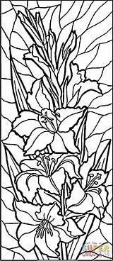 Lilies Colorare Supercoloring Coloriage Vitrail Glas Lood Vetro Bird Suncatcher sketch template