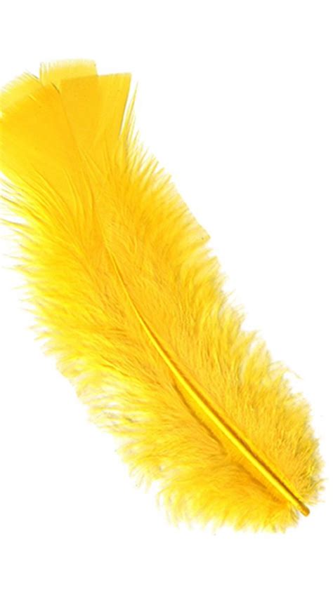 yellow feather meaning yellow feathers    reminder   cheerful  light hearted