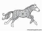 Ausmalbilder Mandala Pferde Pferd Ausdrucken Malvorlagen Pferdestall Vorlagen Schone Horsecrazygirls sketch template