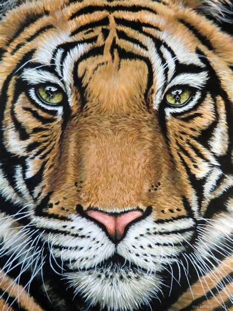 stunning drawings  animals   pencil  paper