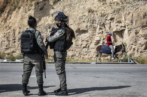 border guards arrested  suspicion  robbing assaulting palestinians  times  israel