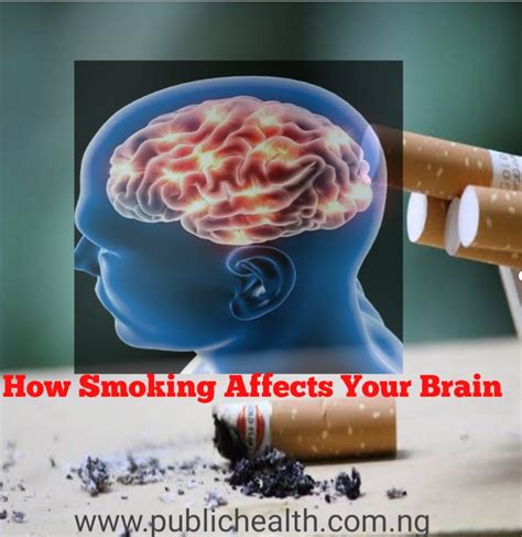 how does smoking affect your brain public health