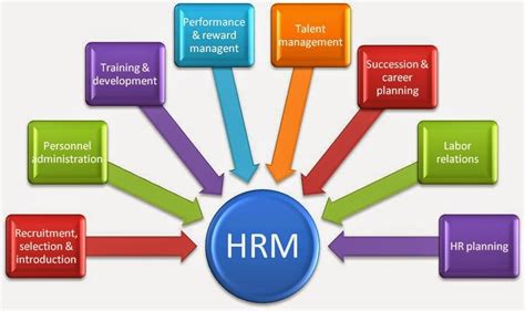 hr system enhances organizational efficiency  hrms software
