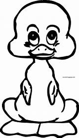 Coloring Baby Duck Cute Front Small Wecoloringpage sketch template