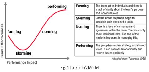 tuckmans stages  group development google search