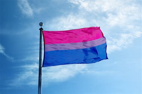 pride flags take different forms to represent different groups